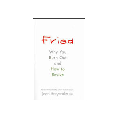 Podcast 265: Fried- Why You Burn Out and How to Revive with Joan Borysenko