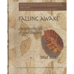 Falling Awake